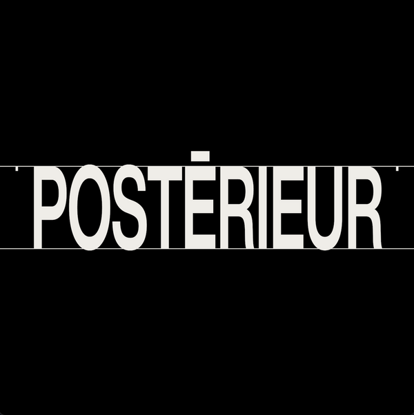 Posterieur